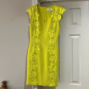 Belle Badgley Mischka Dress